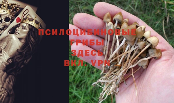 первитин Беломорск