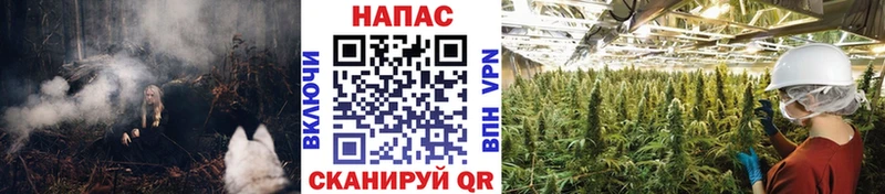 как найти наркотики  Салаир  Каннабис конопля 